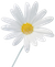 white flower small